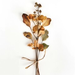 Dried floral arrangement on white