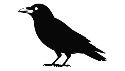 Black Crow Silhouette Isolated Bird Vector Illustration