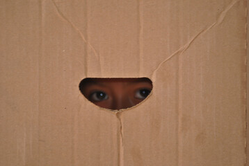 Anonymous Struggles: Overweight Man Hiding Behind a Cardboard Box