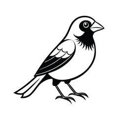 Detailed line art illustration of a blue grosbeak bird standing in an alert posture on a clean white background