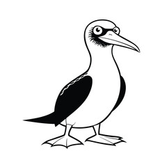 Alert blue footed booby bird line art illustration on a white background
