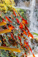 Decorative of waterfall in the garden