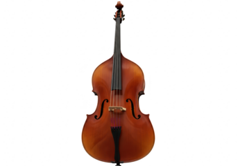 Double bass musical instrument isolated on transparent background