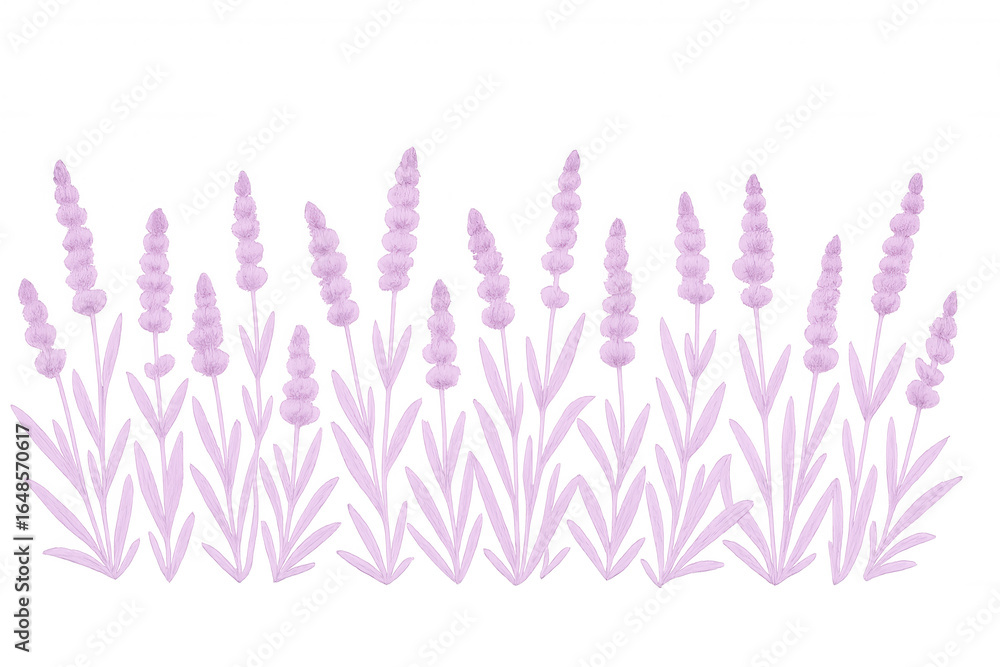 Poster lavender flowers border creating a seamless pattern on a transparent background, perfect for adding 