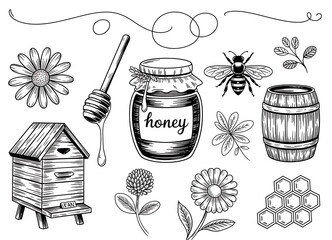 Hand drawn sketch of honey bee products and elements