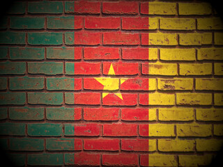Old brick wall Cameroon flag