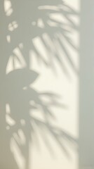 Beige background with shadow of leaves