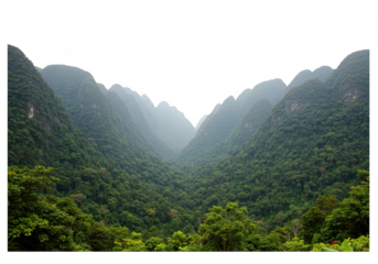 Lush green mountain valley with dense forest and trees isolated on transparent background