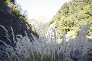 waterfall in the mountains