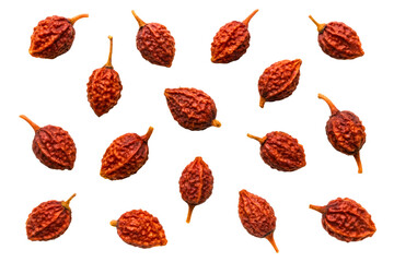 Collection of dried red schisandra berries isolated with transparent background