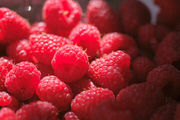 Close-up of ripe red raspberry berries. Delicious and healthy berries with a natural texture.