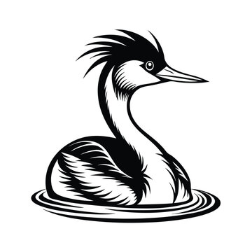 Elegant line art depicting a great crested grebe swimming gracefully in smooth water
