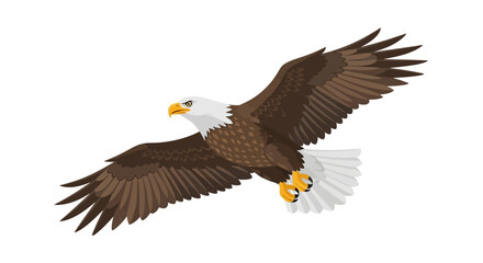 Obraz premium Majestic Bald Eagle Soaring with Wings Spread Wide in Flight