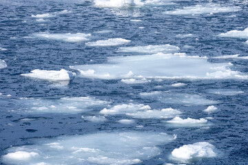 Freezing sea with ice floating