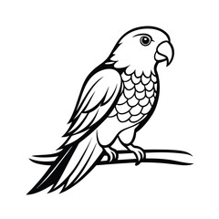 Elegant line art illustration of a colorful lorikeet bird perched on a tree branch against a clean white background