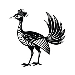 Elegant lyrebird line art illustration of a bird standing gracefully on a white background
