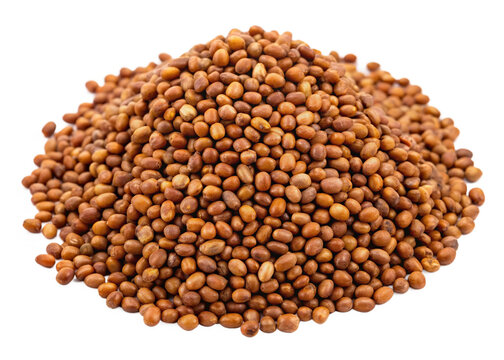 Horse gram seeds isolated on white background png
