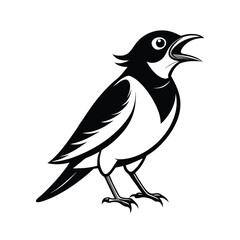Elegant line art illustration of a mynah bird vocalizing clearly on a pristine white background