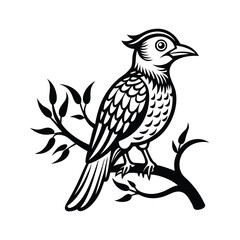Detailed line art illustration of an oilbird perched on a tree branch against a clean white background