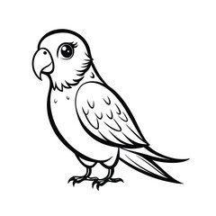 Alert parakeet standing in profile line art illustration on a clean white background