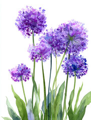 Naklejka premium illustration set of purple flowers isolated