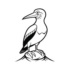 Line art illustration of a red footed booby bird gracefully perched on a textured rock against a clean white background