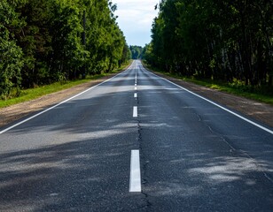 Fototapeta premium road in the forest