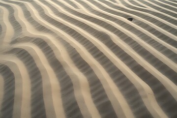 Obraz premium Abstract background of wavy sand texture with shadows and highlights