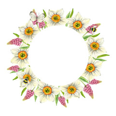 Round floral frame with white daffodils, pink muscari, green leaves, butterfly and bumblebees. Watercolor illustration for postcards, posters, labels.