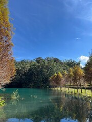 autumn in the park, taiwan