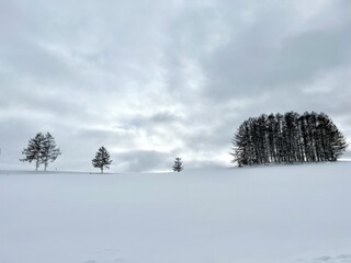 mild seven hills, hokkaido