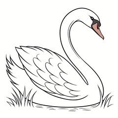 Swan White Background