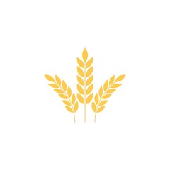 Golden Wheat Ears Illustration Representing Agriculture Harvest and Grain Industry on White Background Template Design Element
