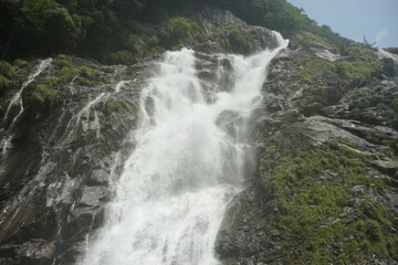 waterfall in the forest