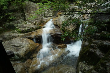 waterfall in the forest