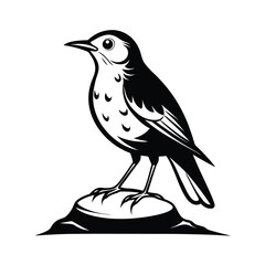 Elegant line art illustration of a thrush bird perched on a textured rock against a clean white background