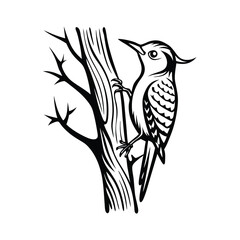 Elegant line art illustration of a treecreeper bird actively climbing a textured tree trunk on a clean white background