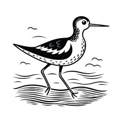 Fototapeta premium Line art illustration of a western sandpiper bird running along a sandy shore