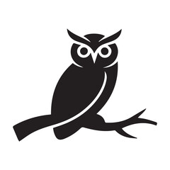 owl on white background