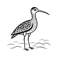 Line art illustration of a whimbrel bird standing on a sandy beach