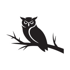 black and white owl