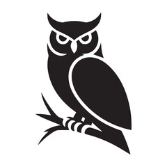 owl on white background