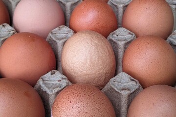 A close-up shot of a carton filled with brown and beige eggs, showcasing their natural variations...