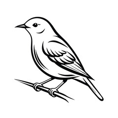 Elegant line art illustration of a yellow warbler bird gracefully perched on a tree branch against a clean white background