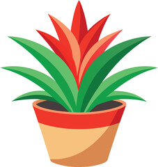 Bromeliad in ceramic pot