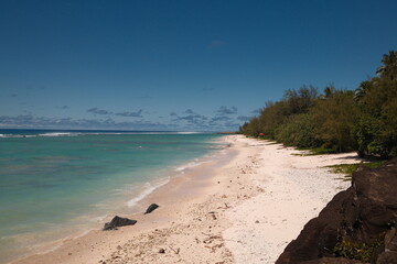 beach with white sand and greens
