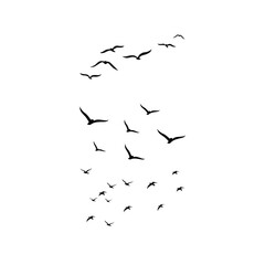 many set of birds flying in the sky isolated on white background. 