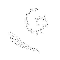 Birds flying through the sky symbolize freedom of earth.  © Abdullah7105