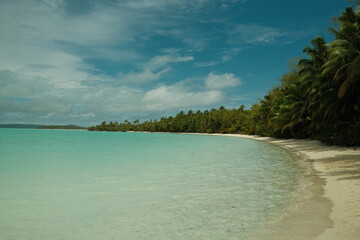 tropical beach with palm trees