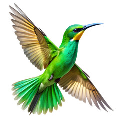 Fototapeta premium spectacular flight of a vivid green bird on white